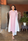 Blush Stripe Panel Kurta Set